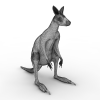 Kangaroo-动植物-哺乳动物-VR/AR模型-3D城