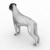 Dog-动植物-哺乳动物-VR/AR模型-3D城