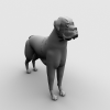 Dog-动植物-哺乳动物-VR/AR模型-3D城