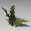 拉菲草-动植物-花草-VR/AR模型-3D城