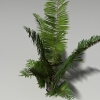 拉菲草-动植物-花草-VR/AR模型-3D城
