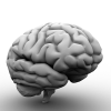 脑-角色人体-医学解剖-VR/AR模型-3D城