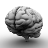 脑-角色人体-医学解剖-VR/AR模型-3D城