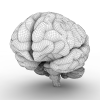 脑-角色人体-医学解剖-VR/AR模型-3D城
