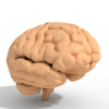 脑-角色人体-医学解剖-VR/AR模型-3D城