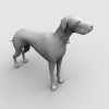 狗-动植物-哺乳动物-VR/AR模型-3D城