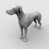 狗-动植物-哺乳动物-VR/AR模型-3D城