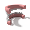 teeth-角色人体-医学解剖-VR/AR模型-3D城