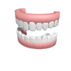 teeth-角色人体-医学解剖-VR/AR模型-3D城