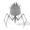 蜘蛛-动植物-昆虫-VR/AR模型-3D城