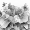 冠状银莲花-动植物-花草-VR/AR模型-3D城