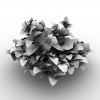冠状银莲花-动植物-花草-VR/AR模型-3D城