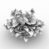 冠状银莲花-动植物-花草-VR/AR模型-3D城