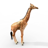 长颈鹿-动植物-哺乳动物-VR/AR模型-3D城