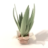 盆景-动植物-盆栽-VR/AR模型-3D城