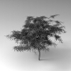 室外植物-动植物-植物-VR/AR模型-3D城