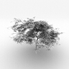 室外植物-动植物-植物-VR/AR模型-3D城