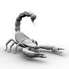 蝎子-动植物-其它-VR/AR模型-3D城