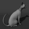 猫-动植物-哺乳动物-VR/AR模型-3D城