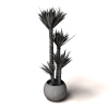 盆景-动植物-盆栽-VR/AR模型-3D城