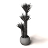 盆景-动植物-盆栽-VR/AR模型-3D城