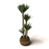 盆景-动植物-盆栽-VR/AR模型-3D城