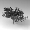 室外植物-动植物-植物-VR/AR模型-3D城