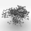 室外植物-动植物-植物-VR/AR模型-3D城