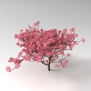 室外植物-动植物-植物-VR/AR模型-3D城