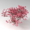 室外植物-动植物-植物-VR/AR模型-3D城