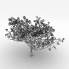 室外植物-动植物-植物-VR/AR模型-3D城