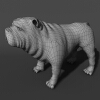 巴哥犬-动植物-哺乳动物-VR/AR模型-3D城