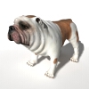 巴哥犬-动植物-哺乳动物-VR/AR模型-3D城