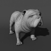 巴哥犬-动植物-哺乳动物-VR/AR模型-3D城