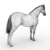 Horse-动植物-哺乳动物-VR/AR模型-3D城