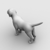 狗-动植物-哺乳动物-VR/AR模型-3D城