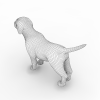 狗-动植物-哺乳动物-VR/AR模型-3D城