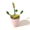 盆景-动植物-盆栽-VR/AR模型-3D城