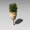 古巴蠟椰子-动植物-植物-VR/AR模型-3D城