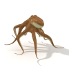 章鱼-动植物-鱼类-VR/AR模型-3D城