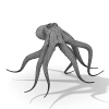 章鱼-动植物-鱼类-VR/AR模型-3D城