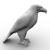 小斑短趾雕-动植物-鸟类-VR/AR模型-3D城