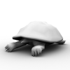 孤岛危机系列海龟-动植物-爬行动物-VR/AR模型-3D城