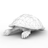 孤岛危机系列海龟-动植物-爬行动物-VR/AR模型-3D城