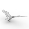 老鹰-动植物-鸟类-VR/AR模型-3D城