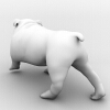 哈巴狗-动植物-哺乳动物-VR/AR模型-3D城