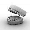 牙齿-角色人体-医学解剖-VR/AR模型-3D城