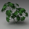 室外植物-动植物-植物-VR/AR模型-3D城