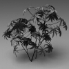 室外植物-动植物-植物-VR/AR模型-3D城