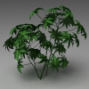 室外植物-动植物-植物-VR/AR模型-3D城
